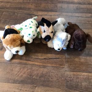 Five webkinz dogs. 4 regular and 1 signature